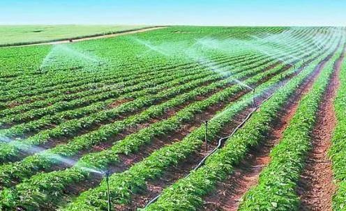 caocaobijiu农田高 效节水灌溉